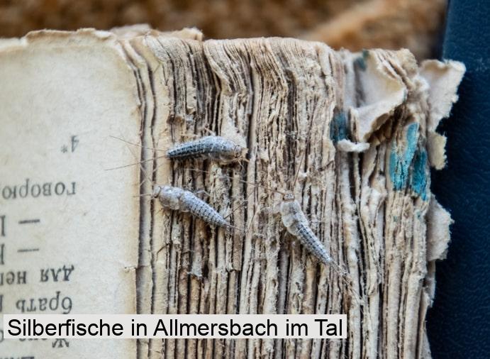 Silberfische in Allmersbach im Tal